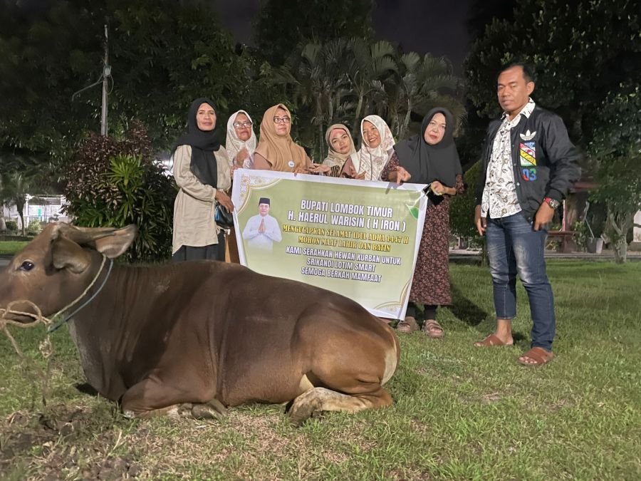 Bupati HW Salurkan 6 Sapi Kurban, Srikandi ProSMART Lotim: Bukti Nyata Kepedulian kepada Masyarakat