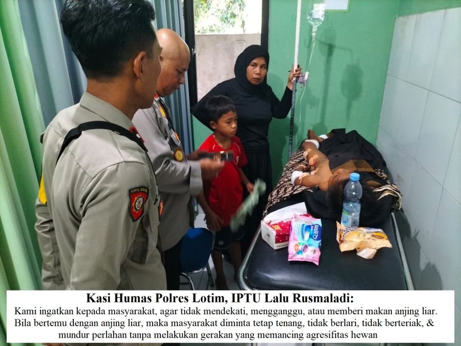 Diduga Lapar, 3 Ekor Anjing Liar Gigit Anak 11 Tahun! Kini, Korban Dilarikan Ke Puskesmas Lepak
