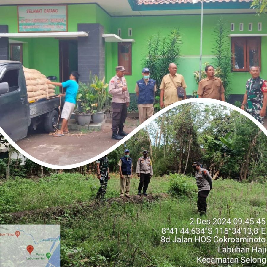 Dukung Program Swasembada Pangan: Kapolsek Labuhan Haji Tebar 3.225Kg Benih Padi ke-11 Kelompok Tani