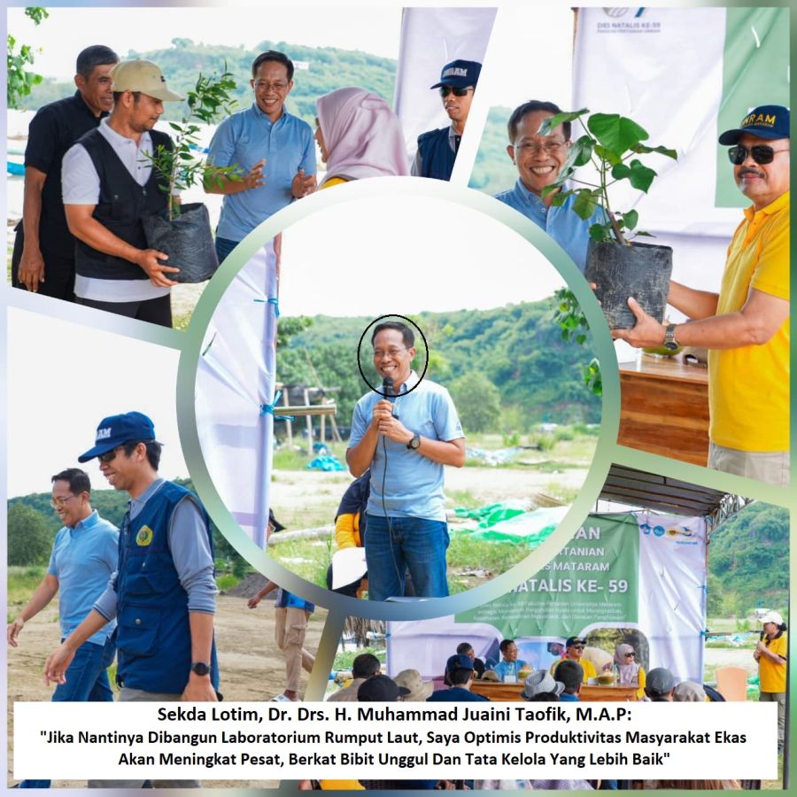 Kolaborasi Bersama UNRAM, Sekda Lotim Optimis Akan Peningkatan Hasil Budidaya Rumput Laut Ekas