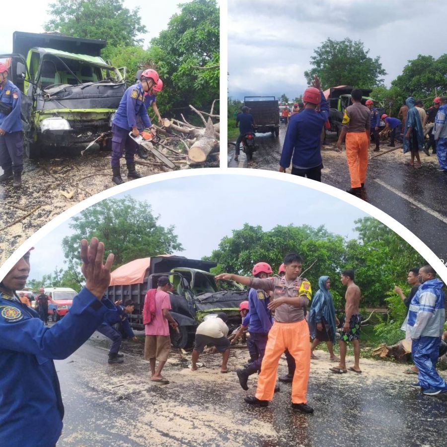Musim Hujan Memakan Korban! Pohon Banten Tumbang, Satu Luka dan Kerugian Capai Rp 15 Juta