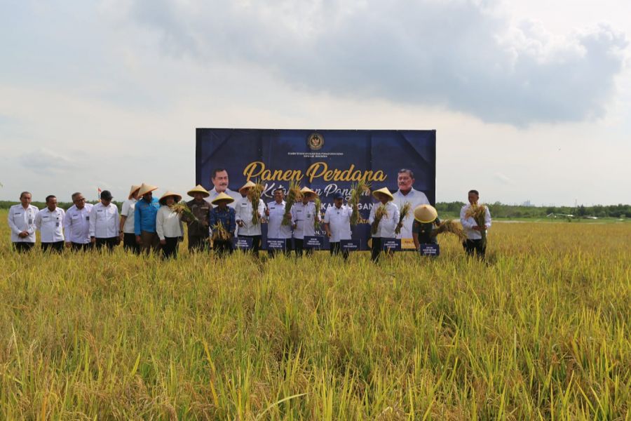 Nusakambangan Bertransformasi: Panen Perdana Padi hingga Jagung Siap Jadi Lumbung Pangan Masa Depan