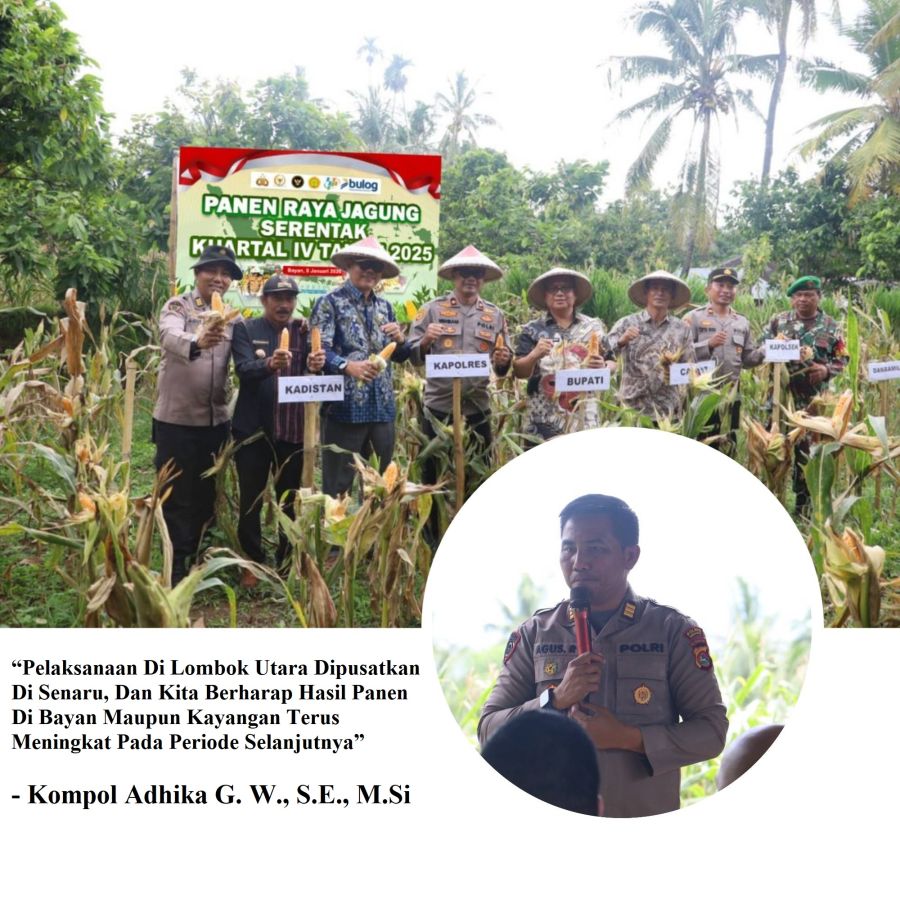 Panen Raya Jagung Serentak Kuartal IV  KLU, Sinergi Pemda & Polri Perkuat Swasembada Pangan Nasional