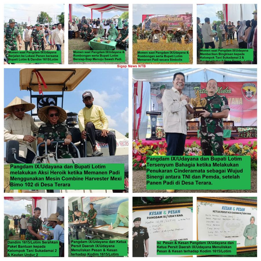 Pangdam IX/Udayana Wujudkan Program SERGAB: Mesin Panen Combine Harvester Beraksi di Sawah Terara