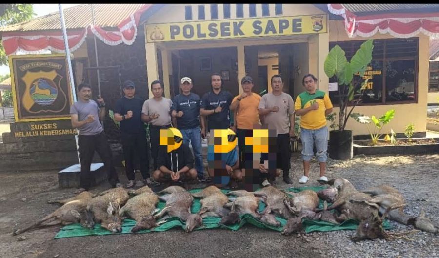 Perburuan Liar Terungkap: Polisi Gagalkan Penjualan 10 Rusa Komodo di Bima, Tiga Pelaku Diamankan