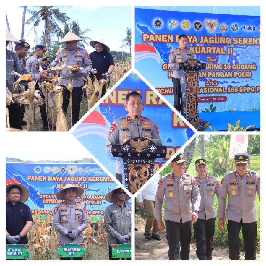 Polda NTB Gelar Panen Raya Jagung Serentak, Tegaskan Dukungan untuk Ketahanan Pangan Nasional