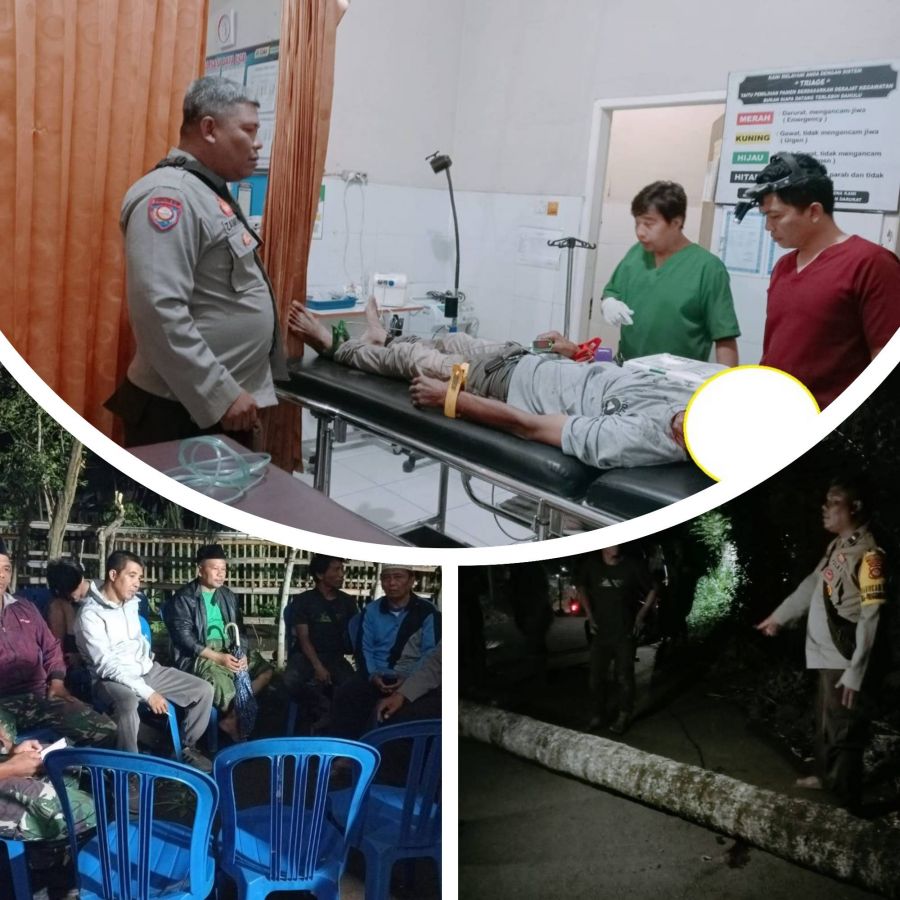 Tragedi di Tanjakan Pancorkopong Pringgasela Selatan: Pohon Kelapa Tumbang Merenggut Nyawa Huliani
