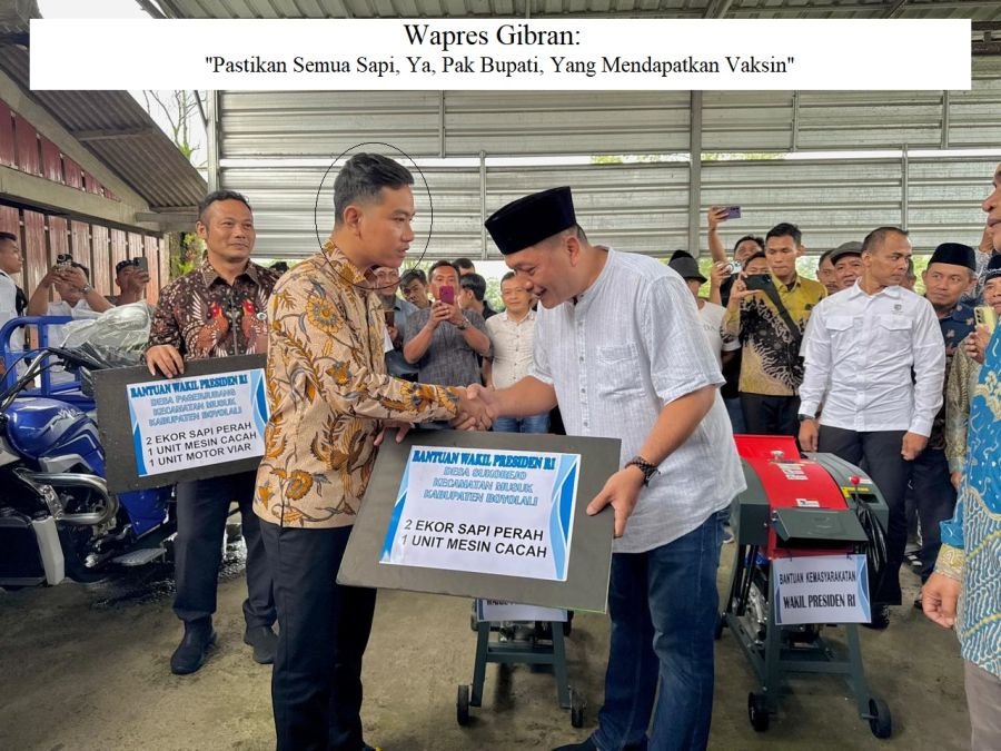 Wapres Gibran Tekankan Pengendalian Penyakit & Hilirisasi Industri, Saat Tinjau Peternakan Sapi